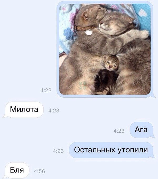 ������������ ������