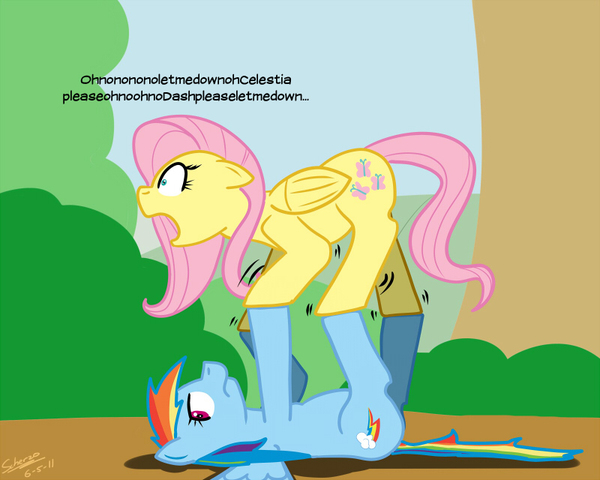    My Little Pony, Fluttershy, Rainbow Dash