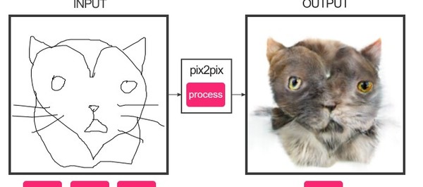 The future of neural networks. Definitely. - Future, cat, Joy, Drawing