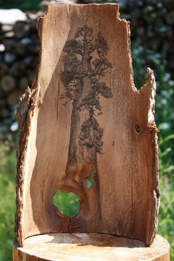 Tree art