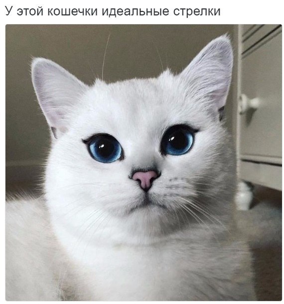 ��������� �������