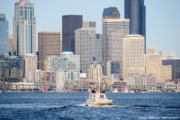 Seattle City Pass: Все основные достопримечательности Сиэтла за $65 - Моё, США, Сиэтл, Зоопарк, Вашингтон, Длиннопост