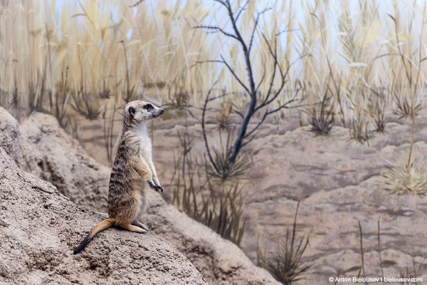что посмотреть в сиэтле за 2 дня. Смотреть фото что посмотреть в сиэтле за 2 дня. Смотреть картинку что посмотреть в сиэтле за 2 дня. Картинка про что посмотреть в сиэтле за 2 дня. Фото что посмотреть в сиэтле за 2 дня что посмотреть в сиэтле за 2 дня. Смотреть фото что посмотреть в сиэтле за 2 дня. Смотреть картинку что посмотреть в сиэтле за 2 дня. Картинка про что посмотреть в сиэтле за 2 дня. Фото что посмотреть в сиэтле за 2 дня