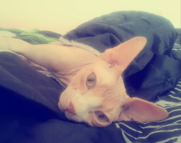 ����� ������ ��������� ����