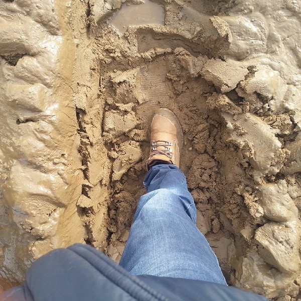 ������ �����