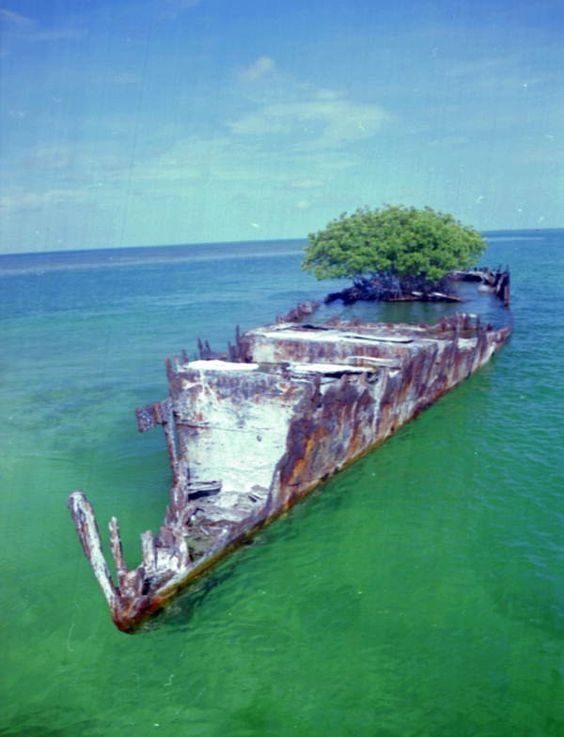 Nature will win - Ship, Nature