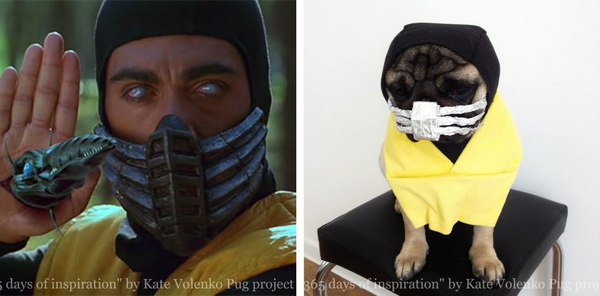 Great cosplay! - Scorpio (Mortal Kombat), Dog, Cosplay, Scorpion, Mortal kombat