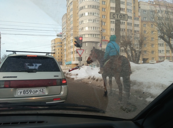 When the price of gas is too high... - My, Kirov, Vyatka, Traffic rules, Horses, Suddenly, Reckless