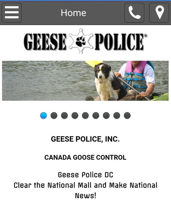 1488358300190873195 безумные идеи для жизни