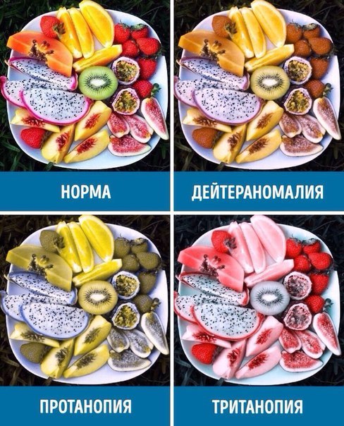 How people with different forms of color blindness see the world - The medicine, Color blindness, Longpost, Images