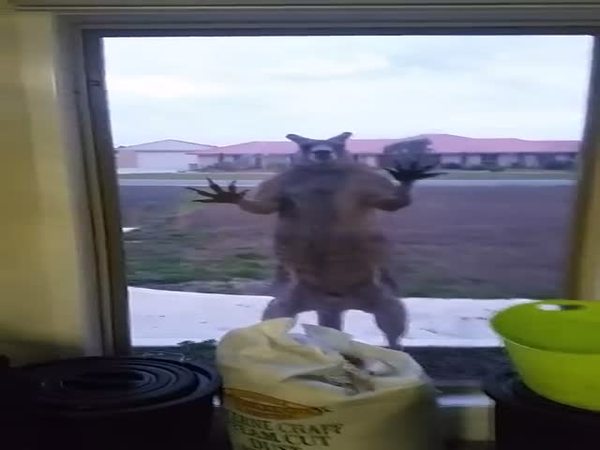 ������� ������� � ���