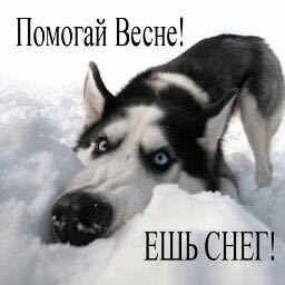 ����� �����!
