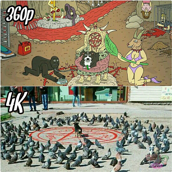 Mr. Pickles 360 vs. 4K - NSFW, Моё, Хорошее качество, Картинки