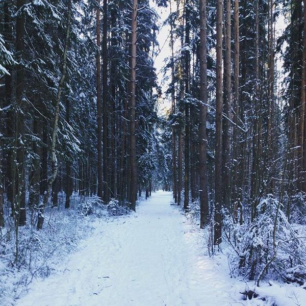 Winter - My, Winter, Leningrad region, Snow, My, The photo, Longpost