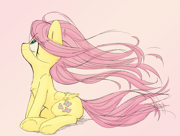   *  -    MLP , My Little Pony, Fluttershy