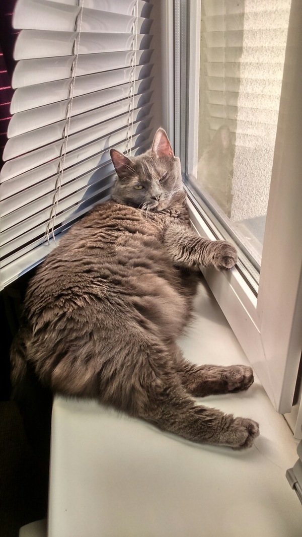 ��������� �����