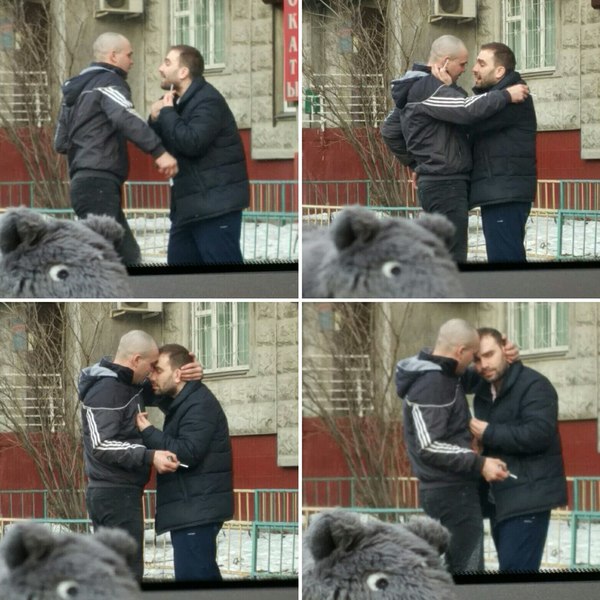 ����������� - �������� ����������.