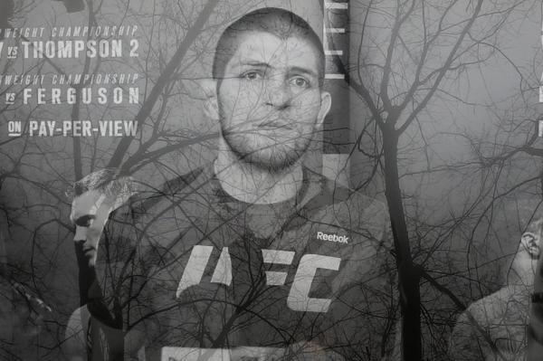 MMA for housewives (Is Khabib's career over?) - My, Sport, Overview, Serials, Longpost, Text