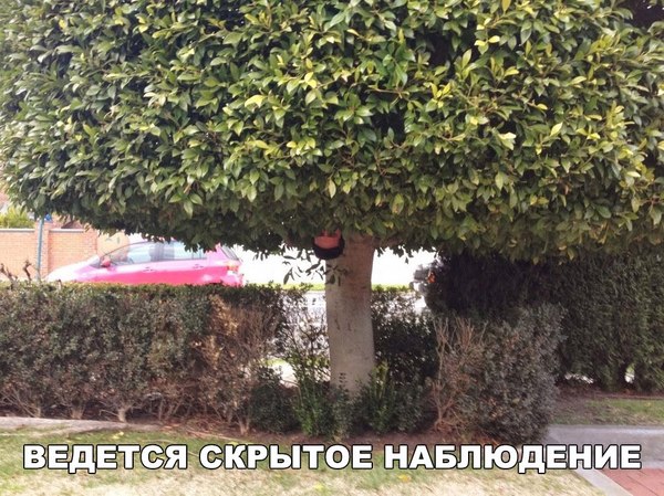 ))))  .