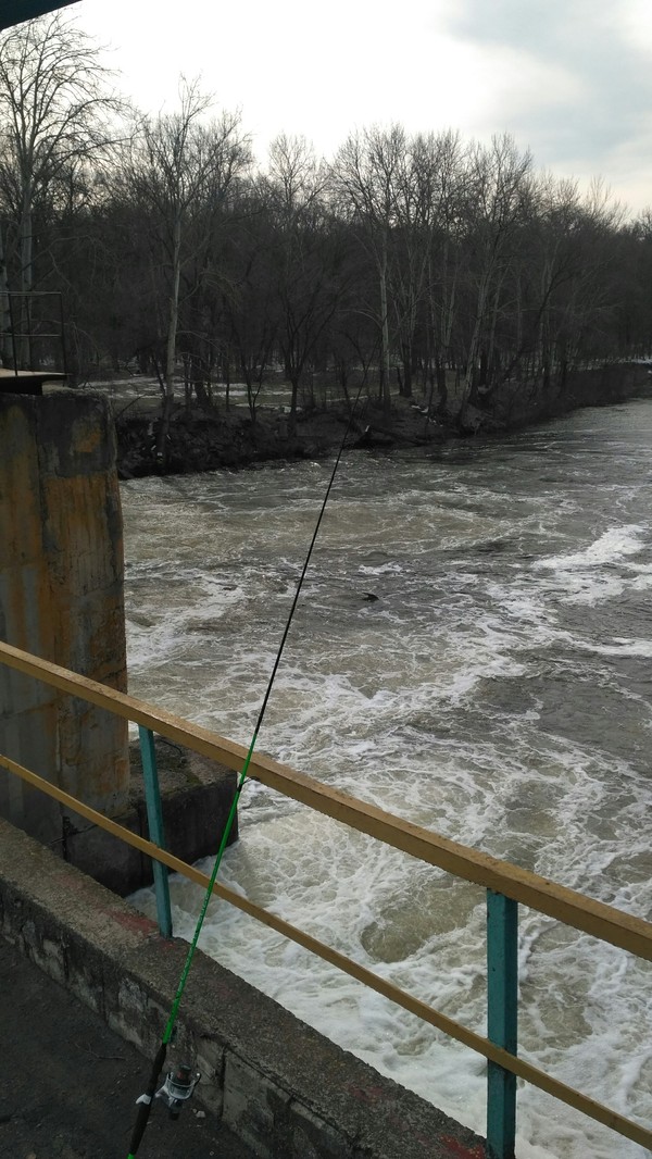 Kharkiv region. - Fishing, My, Longpost, Kharkov