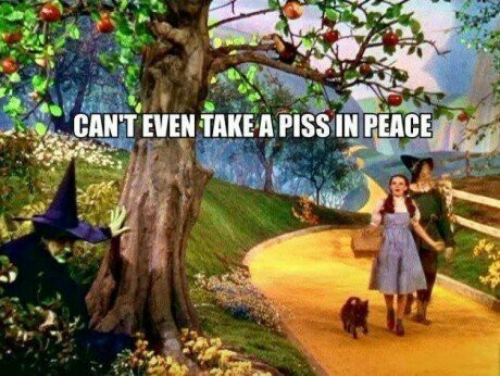 "Даже не могу спокойно отлить в этом месте"