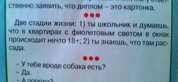 That feeling when you have not been a schoolboy for a long time, but thought about 18+ - Humor, Joke, Newspapers, Gardening, Images, Interesting