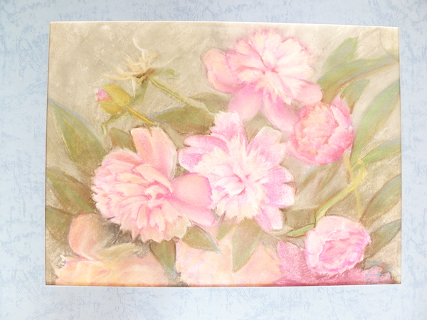 peonies - My, Peonies, Pastel