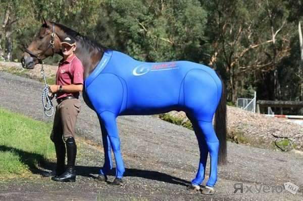 THE MAIN THING IS TO MAKE THE SUIT SIT! - Horses, Costume