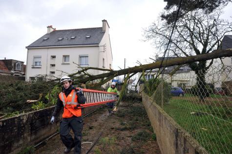 I didn't go to work today! - My, France, Brittany, Storm, Tree, Absenteeism