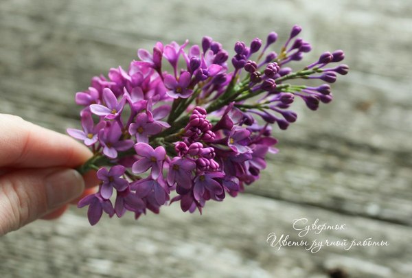 Lilac from polymer clay. - My, Polymer clay, Polymer floristry, Cold porcelain, Лепка, hand sculpting, Creation, Lilac, Flowers, Longpost
