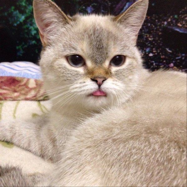 Я обиделась и не разговариваю с тобой, а причину угадай сам...