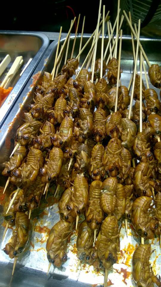 A Chinese delicacy for gourmets and insectivores. - My, Yummy, China, Insectivores, , Longpost