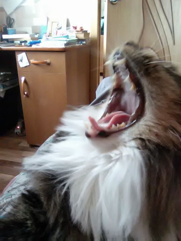     , , , 