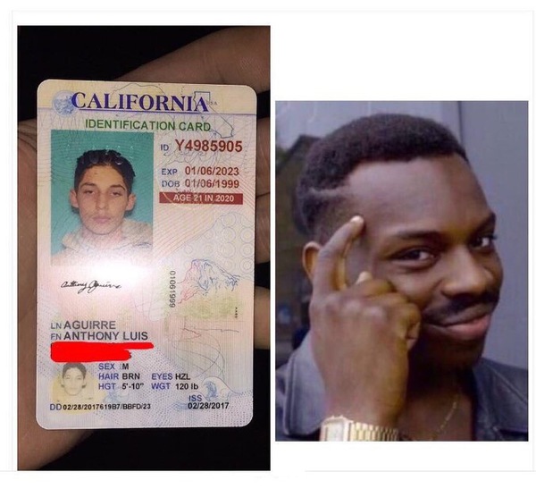 I took a picture on the right when I was stoned. Now, if the cops stop me stoned, I'll look normal. - Driver's license, Cunning, Roll safe