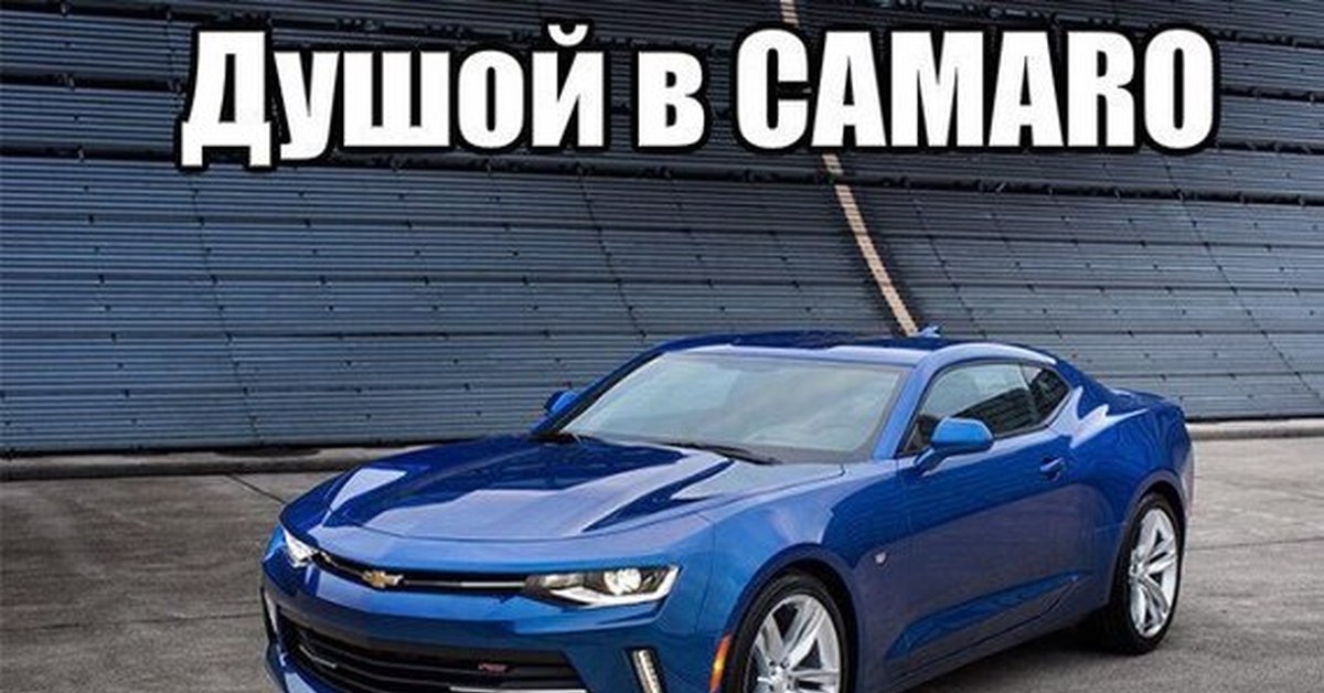 Новая свежий. Шевроле Камаро новая. Chevrolet Camaro новый. Шевроле Камаро 2022 новый. Шевроле Камаро последняя модель.