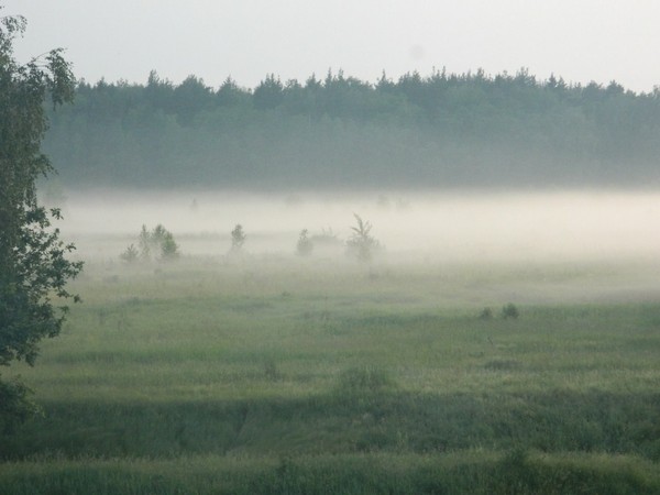 Evening fog. - Landscape, Nature, My, Fog, Beautiful view