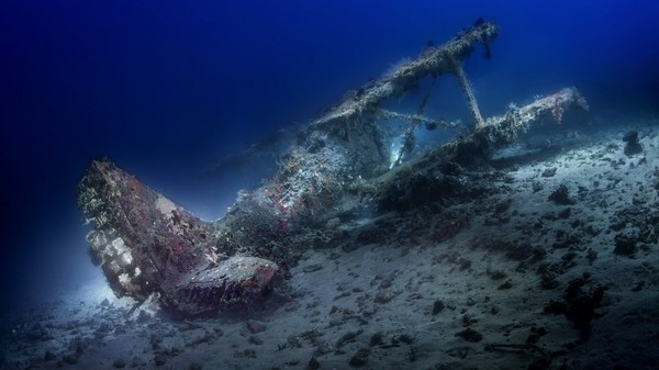 ��� �����