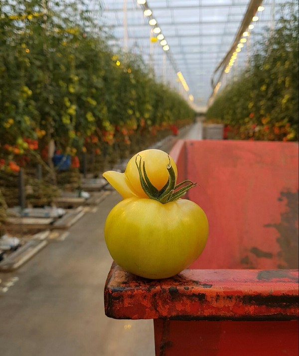 "���� ����� ��������, ��� ��������� ������"