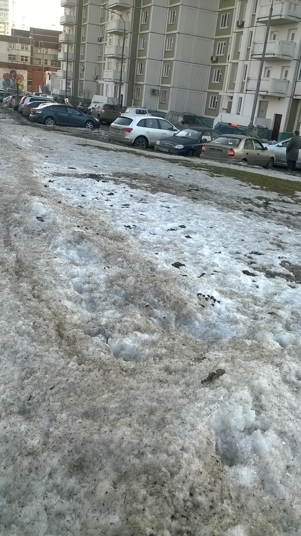 Пользуясь случаем, хочу поздравить всех собачников с приходом весны!