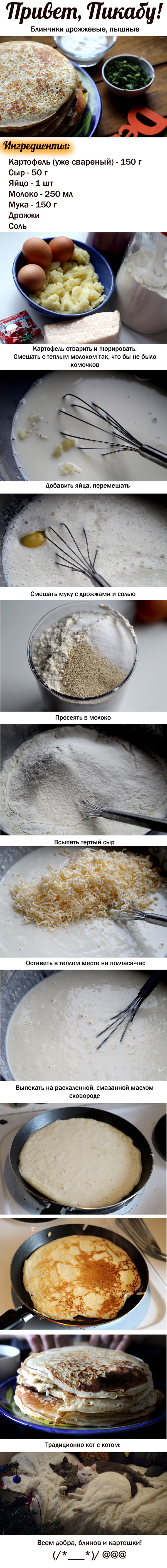 Potato cheese pancakes - My, Recipe, Pancakes, Food, Cooking, Receptors, Longpost, cat