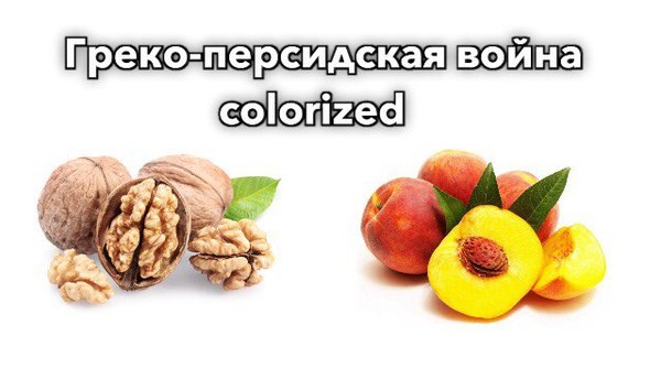 ��� � ���� �����-���������� �����