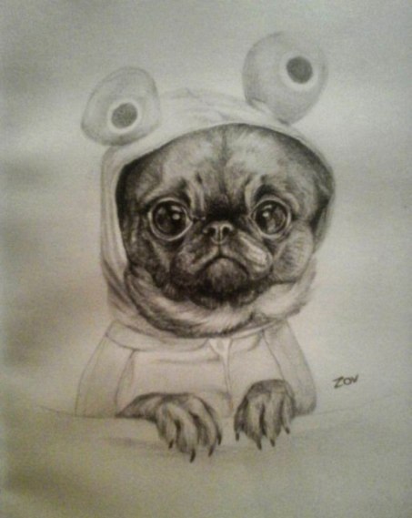 No pug? draw! - My, Pug, Pencil drawing