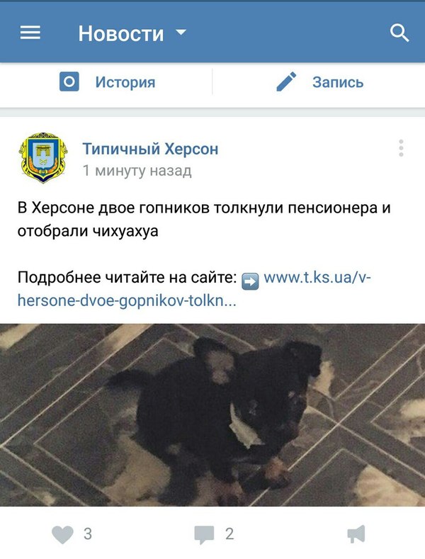 ������ ������������