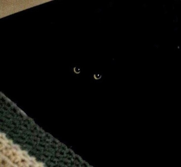 � � ������ ���� �����