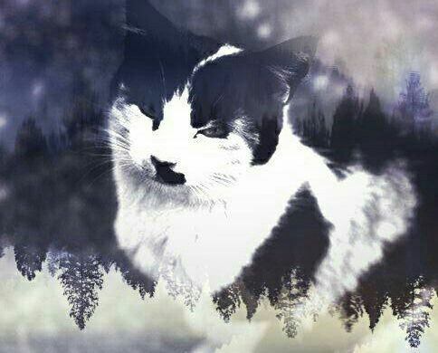 ������������