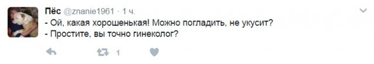 Комментарии 12. Простите а вы точно доктор. Ой какая хорошенькая а можно погладить. Простите а вы точно гинеколог. Можно погладить а вы точно гинеколог.