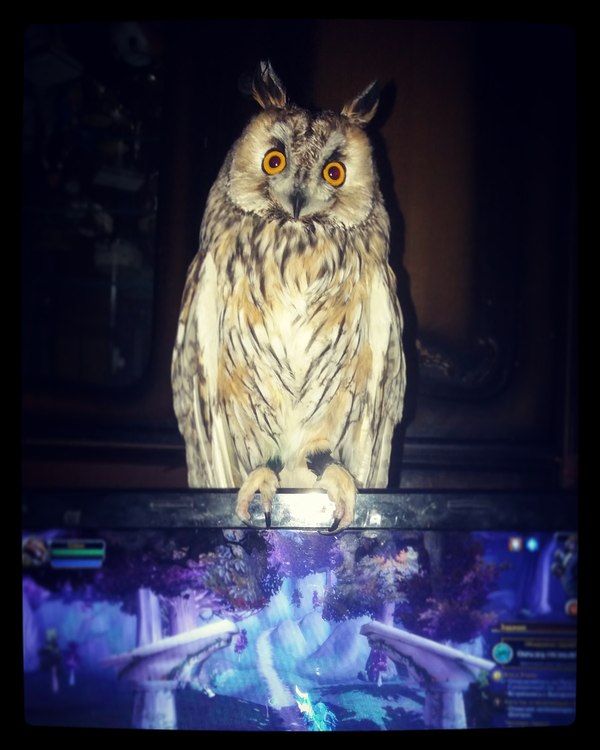 Ты играй, а я посмотрю...в пространство х)