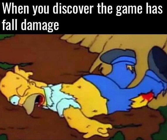 Fall Damage - 9GAG, The fall, Games, Damage