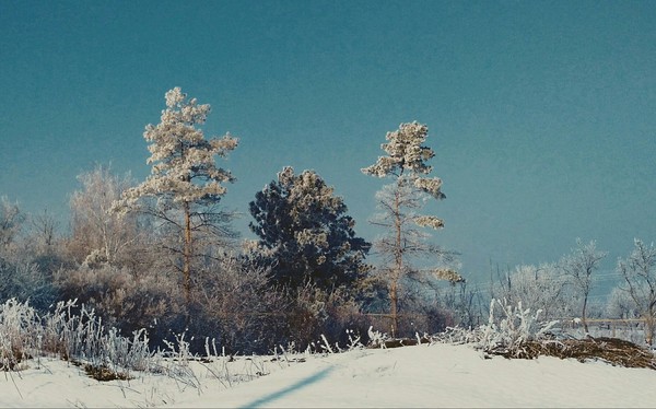  2016, Moldova , 2016, , 