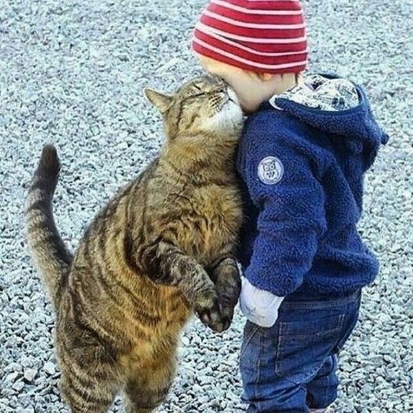 You are my best friend - cat, , , Children